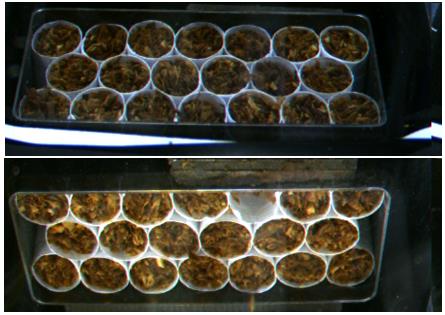 包裝空(kōng)頭缺嘴在線檢測