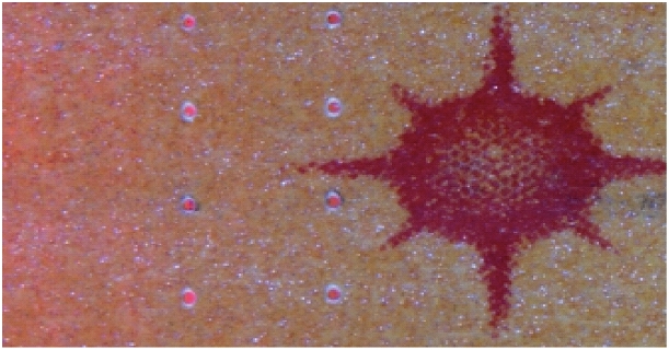 煙(yān)支激光(guāng)打孔檢測